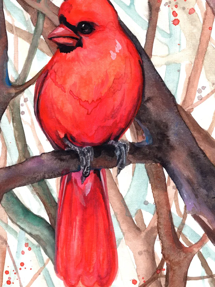 Red cardinal Bird Watercolor, bird painting, wall decor, birds lover gift, 8x11 in handmade art by Anne Gorywine