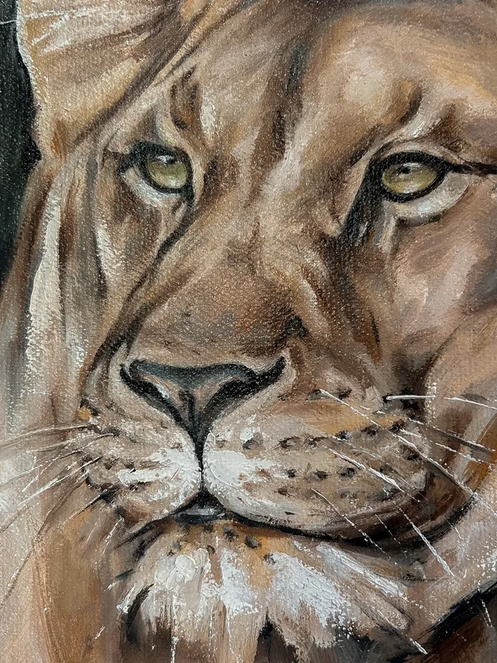 Lion and lioness