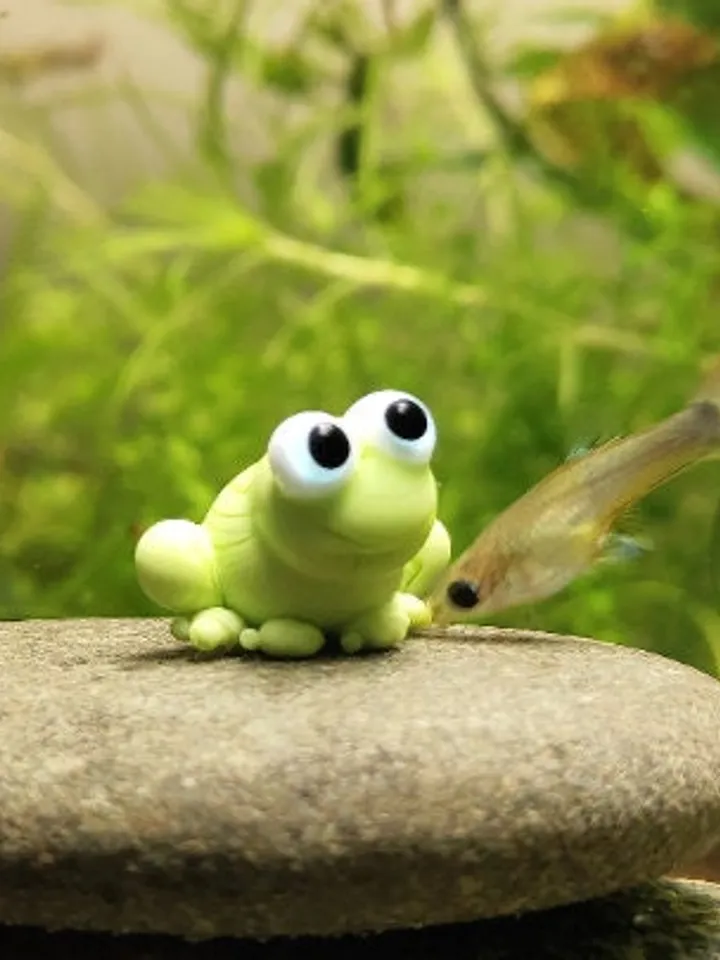AQUARIUM DECORATION Frog figurine Small Aquarium decor Aquarium figurine Aquarium gifts Aquarium ornament Tiny frog Glass frog miniature