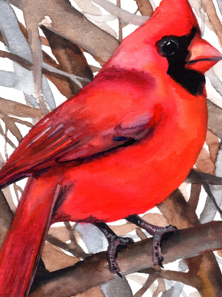 Red cardinal original watercolor, birds painting, handmade wall decor, 5.7x5.7 in art for bird lovers by Anne Gorywine