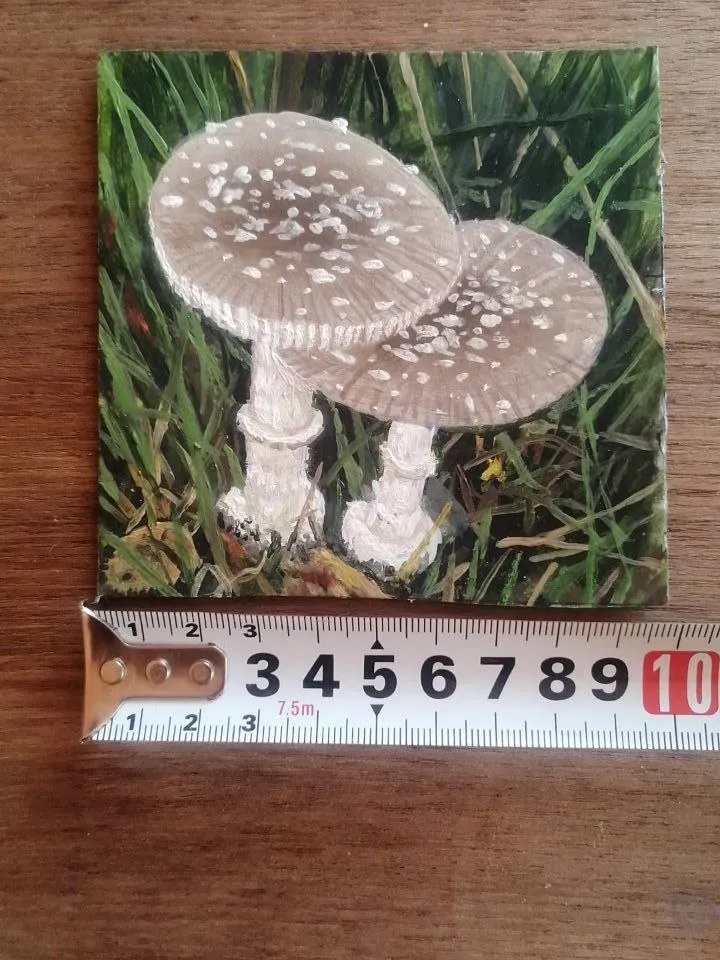 Miniature painting: Mushroom Fly Agaric. Painted with oil paints. Size 95 x 95 mm