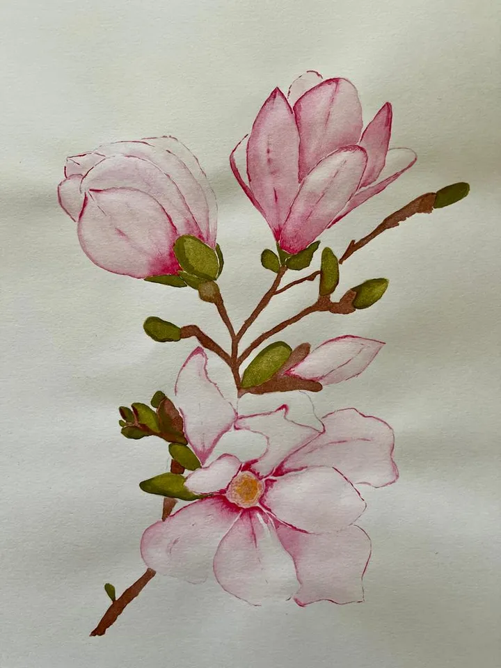 Pink magnolia flower art. Flowers painting classic watercolor paintings. Original watercolor painting.