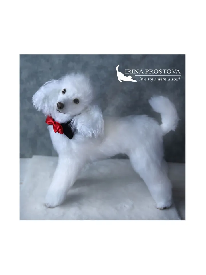 Pattern Dog | Realistic sewing toy pattern | Poodle | Stuffed Animals | Pattern with brief instruction for stitching.
