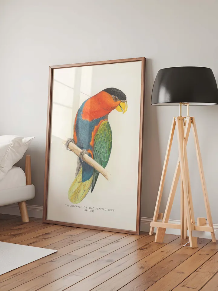 80+ Vintage Parrot Illustration Bundle Colorful Bird Wall Art Retro Parrot Prints Eclectic Antique Style Digital Download for Bird Lovers