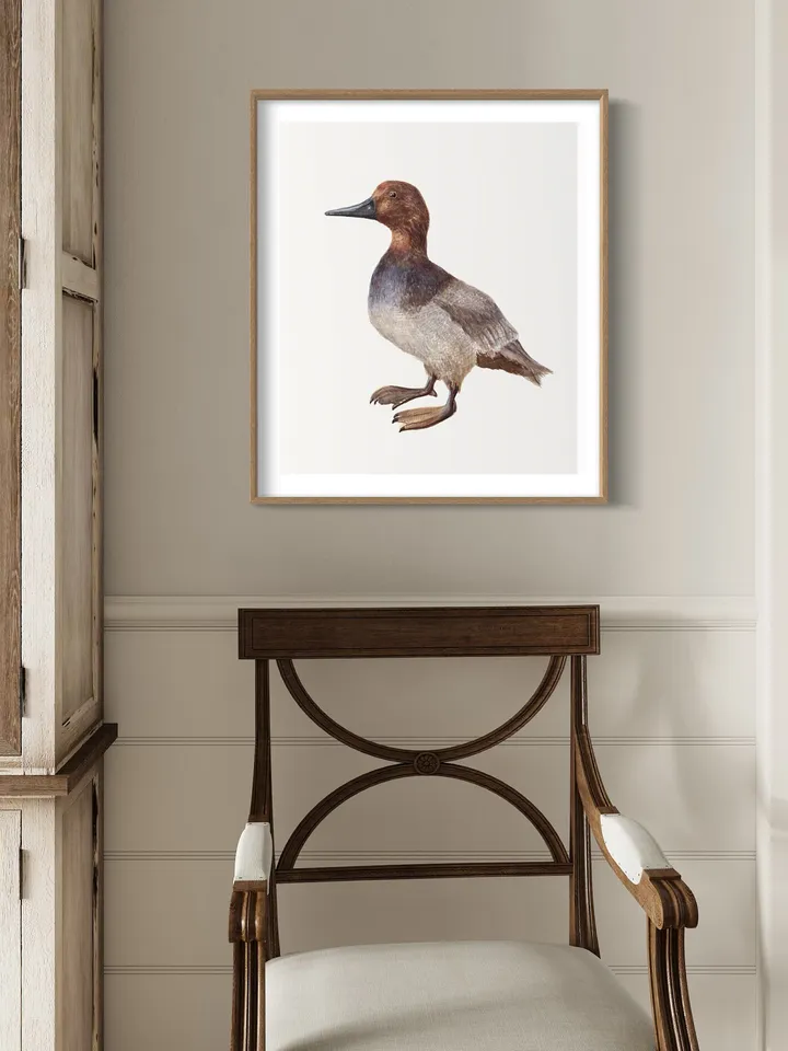 Mallard Duck Watercolor Painting Print, Vintage Duck Print, Duck Painting, Duck Decor, Birds Lovers, Dock Gifts, Duck Illustration, Wood Art