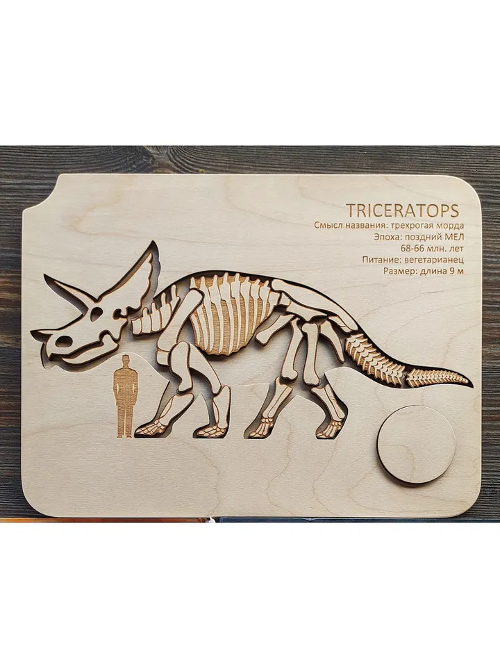 Wooden Puzzle Dinosaur Skeletons Montessori puzzle science play T-Rex puzzle