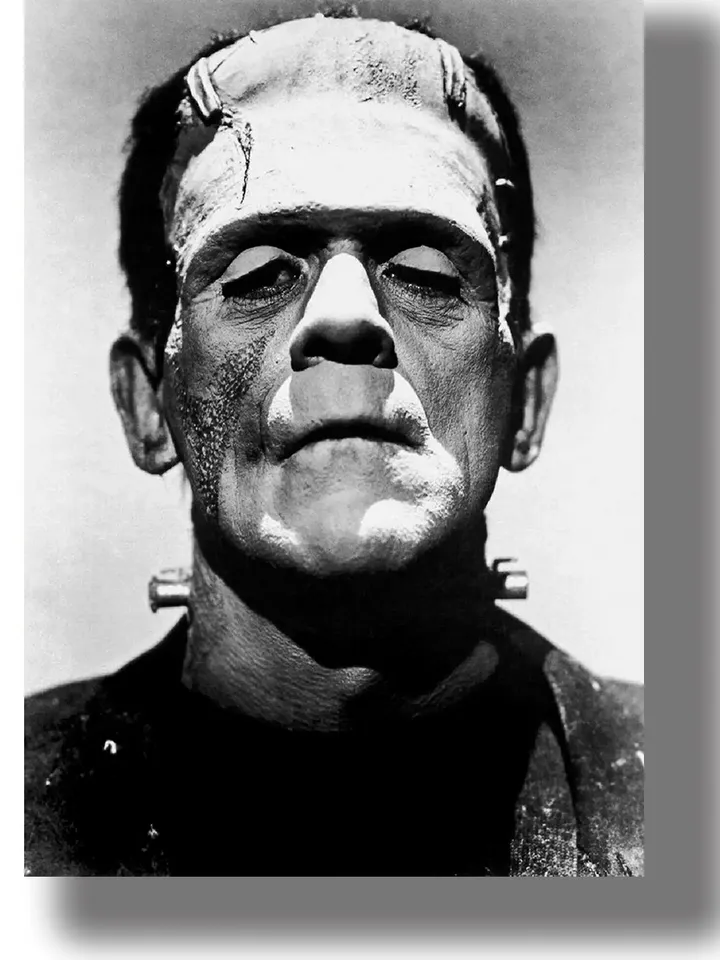 Frankenstein from the cult film with Boris Karloff.
