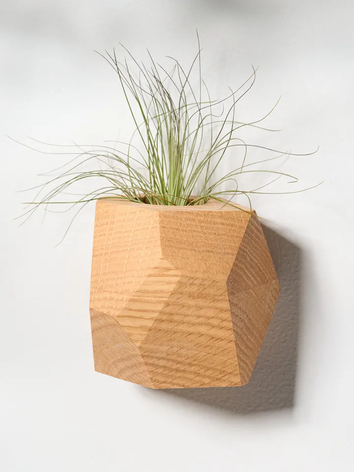 Set of 4 Red Oak Geometric Air Plant Holder