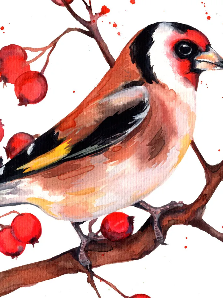 Bullfinches on a branch original watercolor, birds painting, wall decor, 7x10 in art for bird lovers by Anne Gorywine