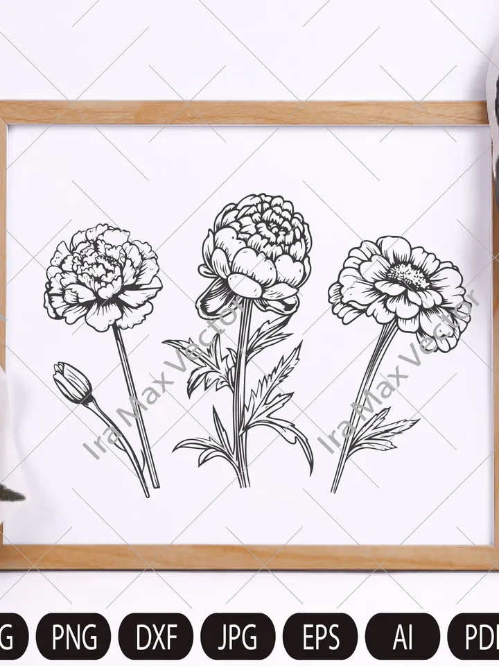 Marigold SVG Bundle, Marigold Flower svg, Marigold dxf, Marigold png, Marigold eps, Marigold vector, Marigold cut files, Marigold outline