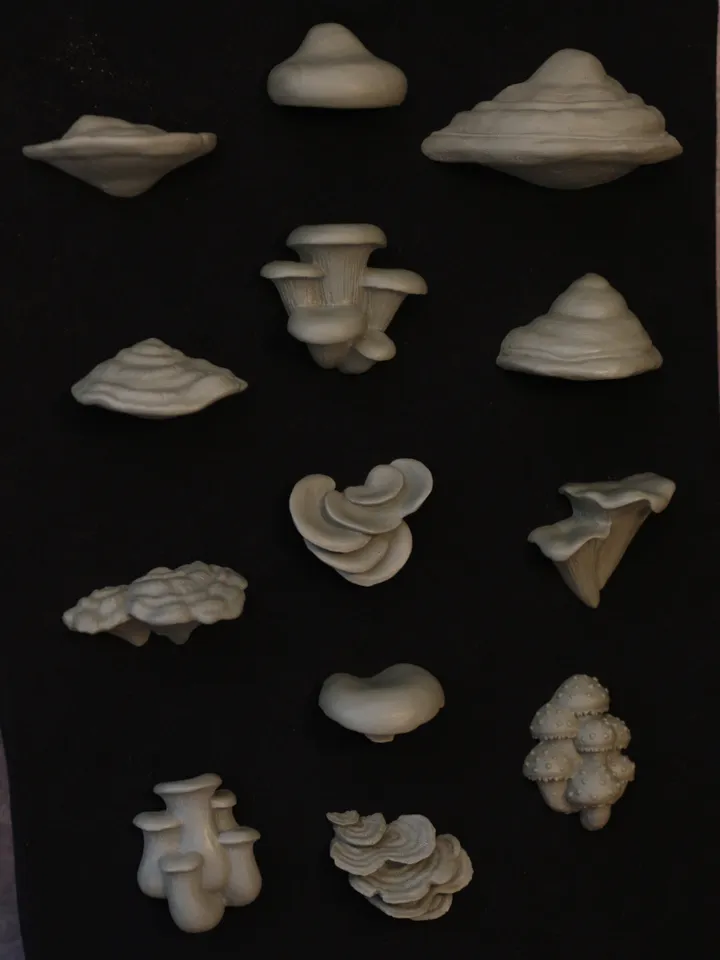 Set of 13 Magnets of Mushrooms (Unpainted)
