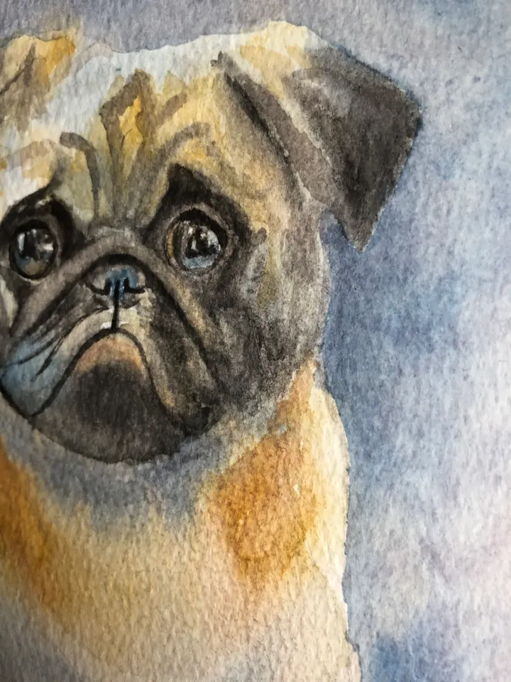 Cute dog pet portrait painting living room wall art original watercolour hand painted modern painting