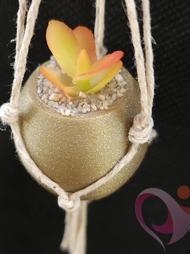 Mini Plant Refrigerator Magnet Tiny Succulent Macrame Hanger for Fridge Unique Gift for Plant Lovers Boho Kitchen Decor Under 10