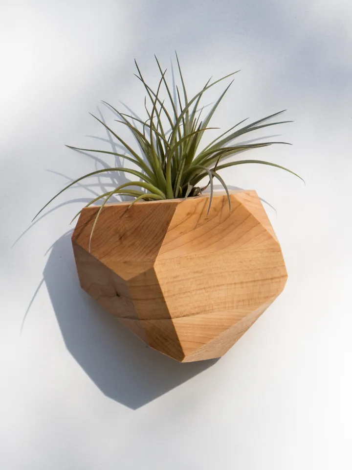 Maple Geometric Air Plant Holder
