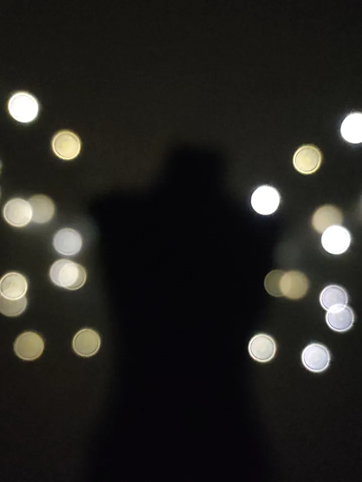 White light up plastic wings LED