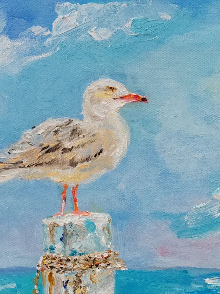 Gull oil painting 20x20cm (8x8 inches)