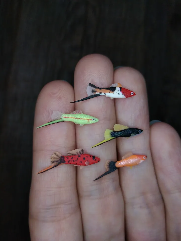 Miniature clay Swordtail fish 5 pcs, tiny fish for diorama, dollhouse or resin art