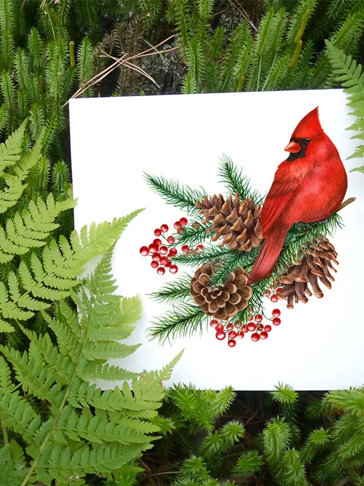 Christmas birds Blue jay red cardinal robin Xmas pine garlands Watercolor hand-painted clipart Wishes cards stickers wall art Printable PNG