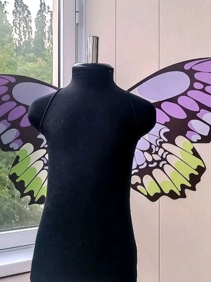 Magic fairy wings, fairy wings, magic butterfly wings for photo shoot, beautiful wings for wedding, party wings