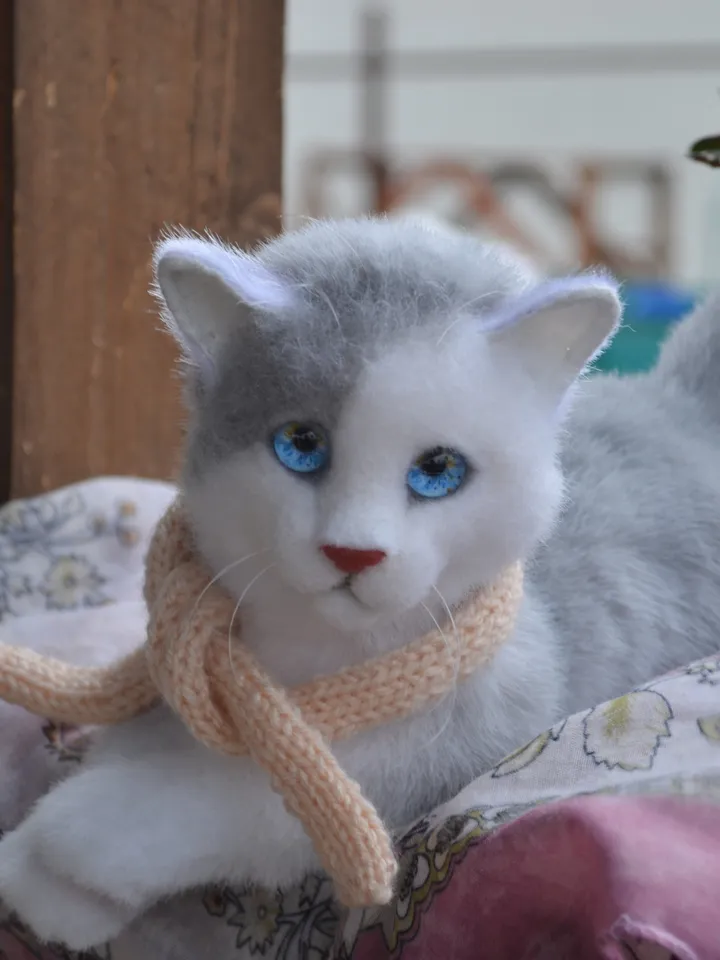 Kitten Marie