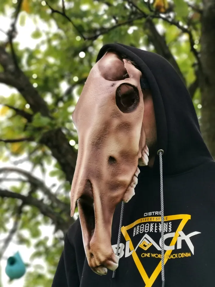 Horse Skull Mask Without Jaw, Horror Mask, Realistic Skull Mask, halloween scary mask, creepy mask, skull costume mask, shamanic mask