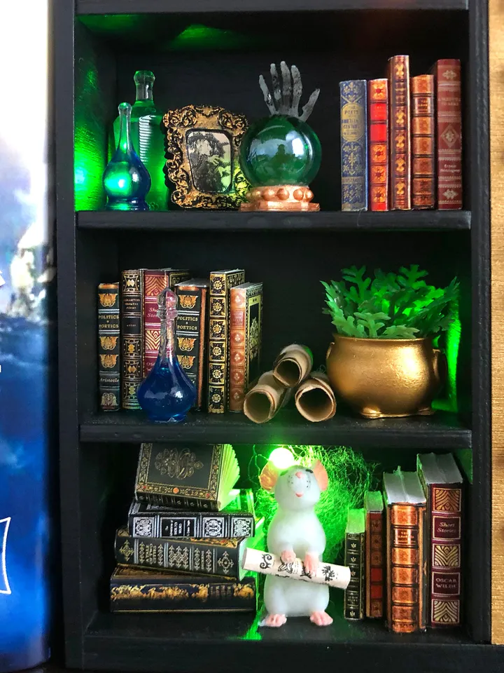 Book nook, Book nook money box, book nook insert, book nook diorama, bookshelf insert, boyfriend gift, book lover gift, best friend gift