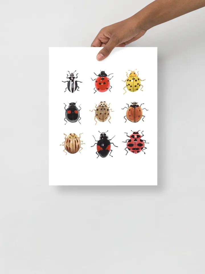 Ladybug Art Print, Watercolor Painting, Bug Insect Print, Insect Lover Gift, Ladybird Painting, Lady Bug, Realistic Art, Gift For Him