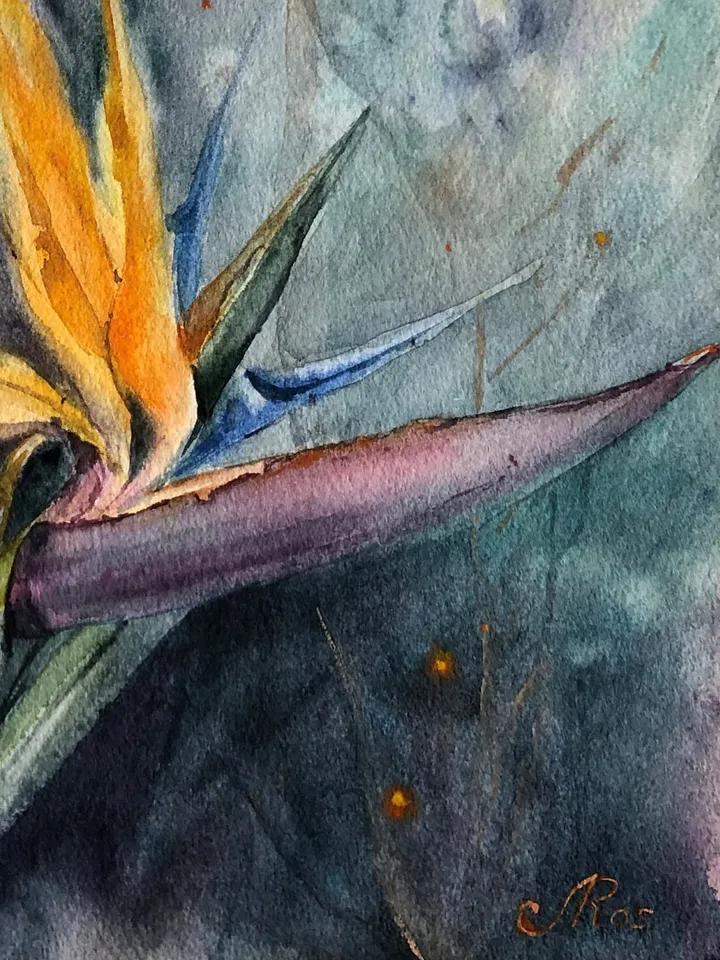 Flowers Original Watercolor Painting Tropical Flowers Wall Art