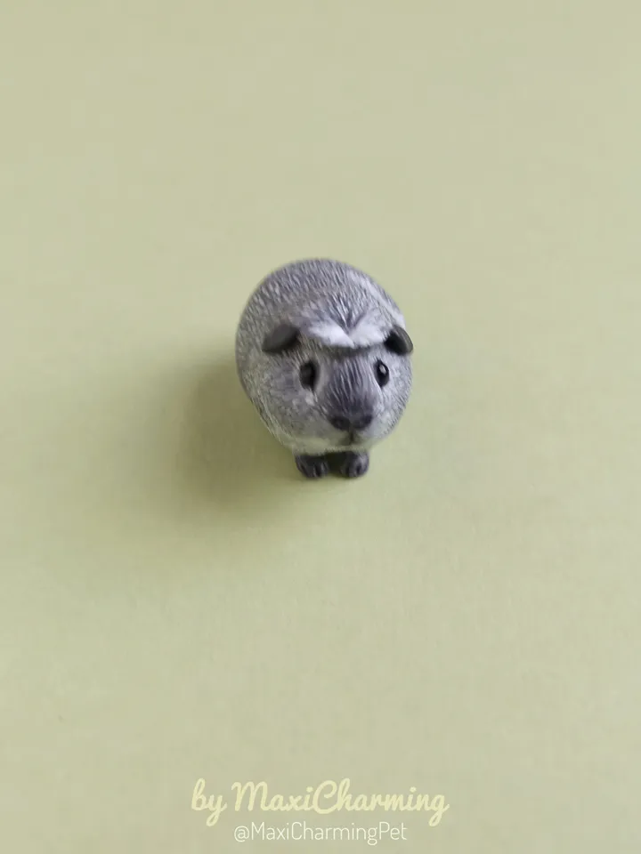 Guinea pig portrait from photo