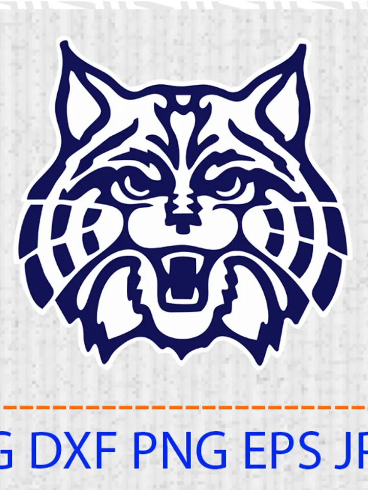 Arizona Wildcats