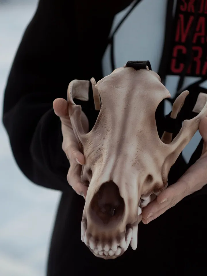 Wolf Skull Mask | animal skull mask |  | realistic wolf mask | resin skull mask | cosplay face mask | halloween scary mask | creepy mask