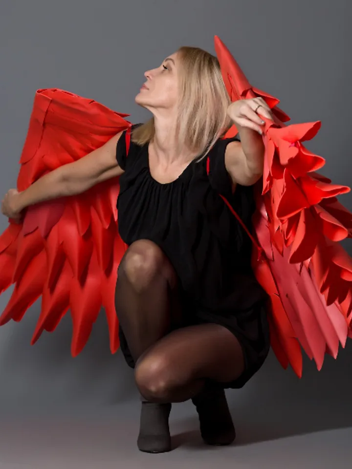 Christmas day costume, red angel wings, cosplay sexy, Valentines day gift, birthday party photo