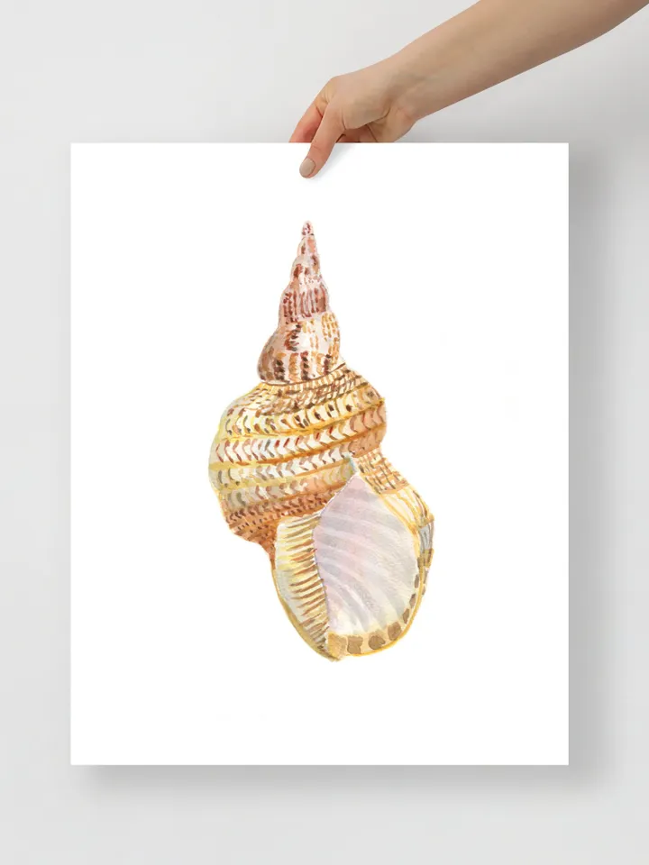 Shell art  Sea Shell Art Shell Decor Beach Cottage Art Sea Shells Painting Marine Aqua Beach House Art Beach Art Marine Aqua