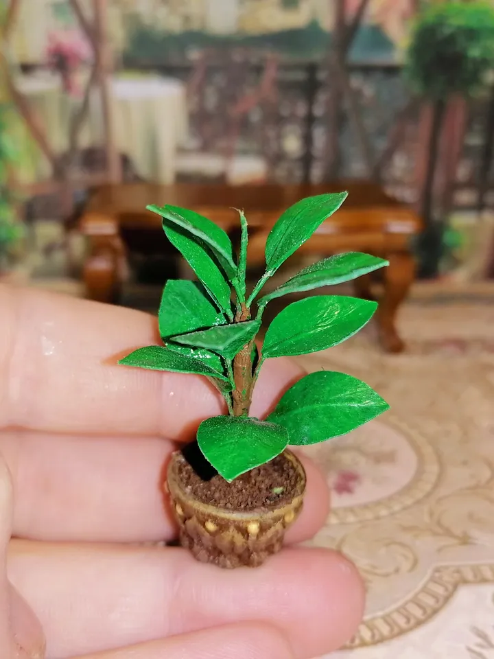 Ficus for the doll house. 1:12. Puppet miniature. Dollhouse.