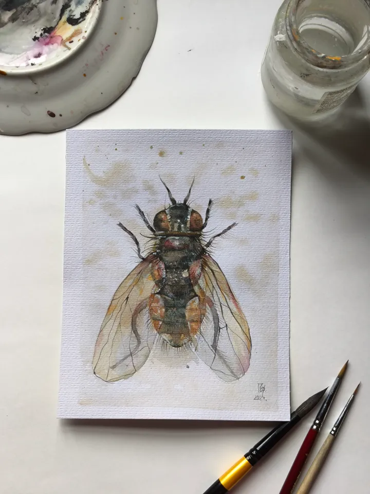 Watercolor. Brown Fly.