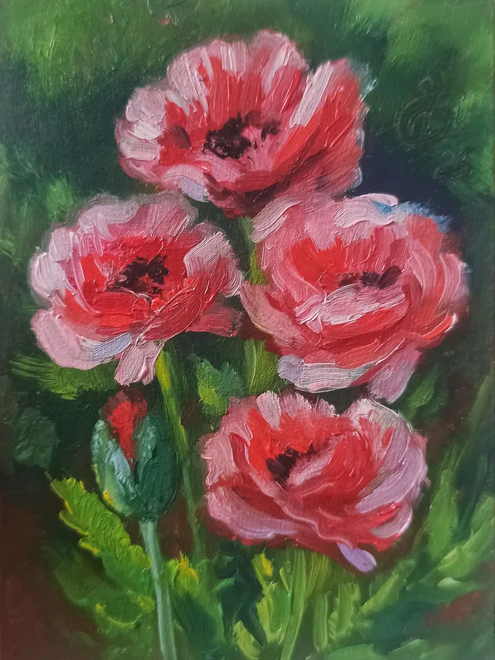 Original oil painting ACEO, Red-pink poppies, Red flowers, Blooming garden, Collection card 2,5x3,5 in