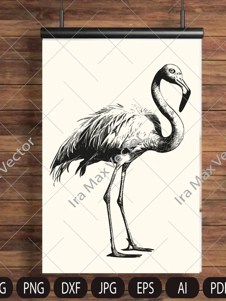 FLAMINGO SVG , Flamingo bird Svg, Flamingo Cut File , Bird Svg, Flamingo Clipart, Exotic birds, Flamingo Silhouette