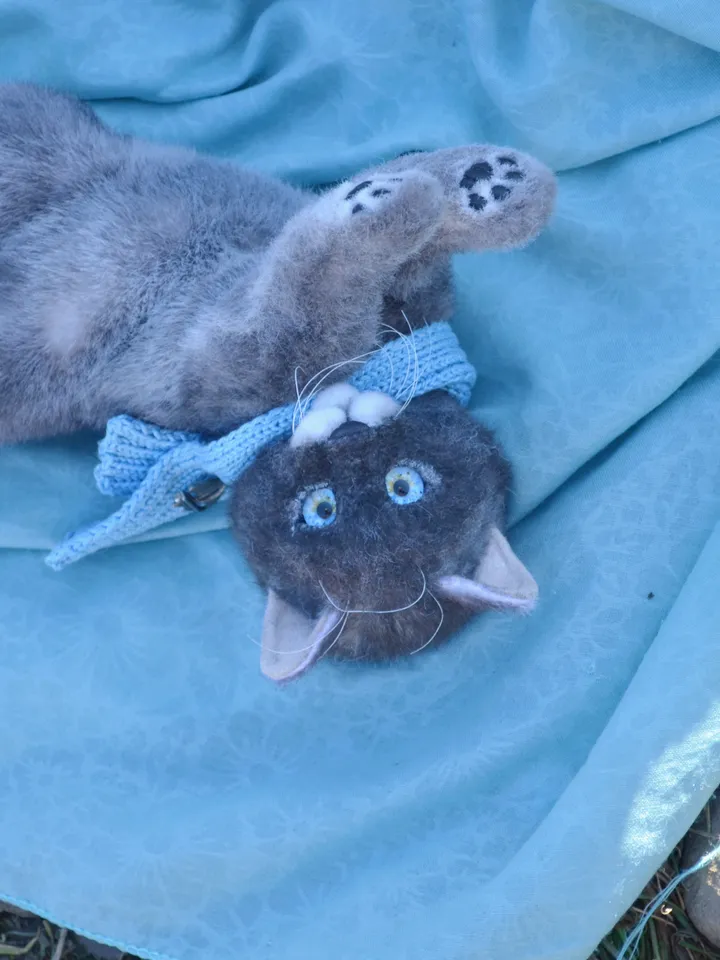 Kitten Turtle