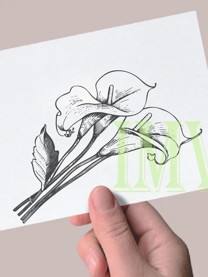 Calla Lily SVG, Calla Lily bouquet, Spring Flower Vector Drawings, Botanical Blossoms , Floral Line Art,Commercial Use PNG, SVG