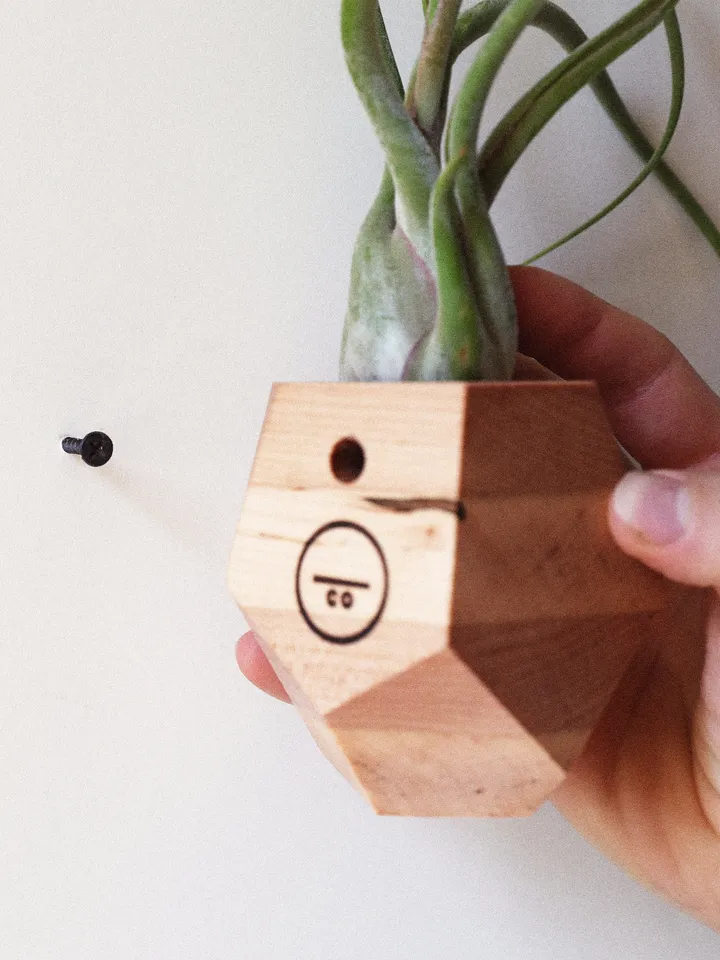 Bundle Set - Set of Five Wood Geometric Air Plant Holders - Bundle and Save! 5 different shapes, different species of wood
