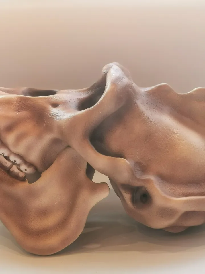 Gorilla Skull, Monkey Skull, Animal Skull Replica, Anthropology Primate Model