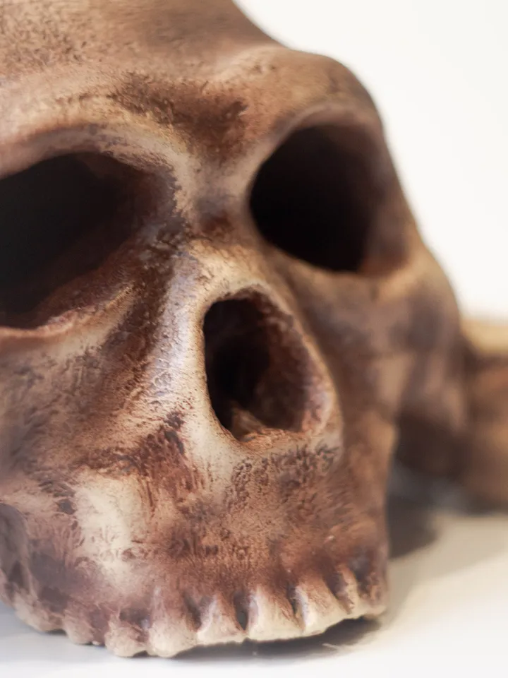 Homo Naledi Skull Replica Reconstruction, Prehistoric Fossil Collection, Realistic Hominid Skull, Museum Quality
