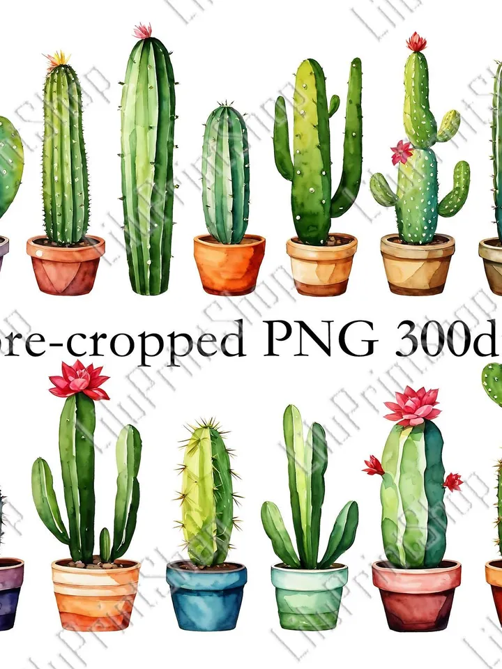 Cactus Digital Stickers for GoodNotes, 13 GoodNotes Planner Stickers, pre cropped cute floral Digital Sticker Pack, Stickers for iPad, png
