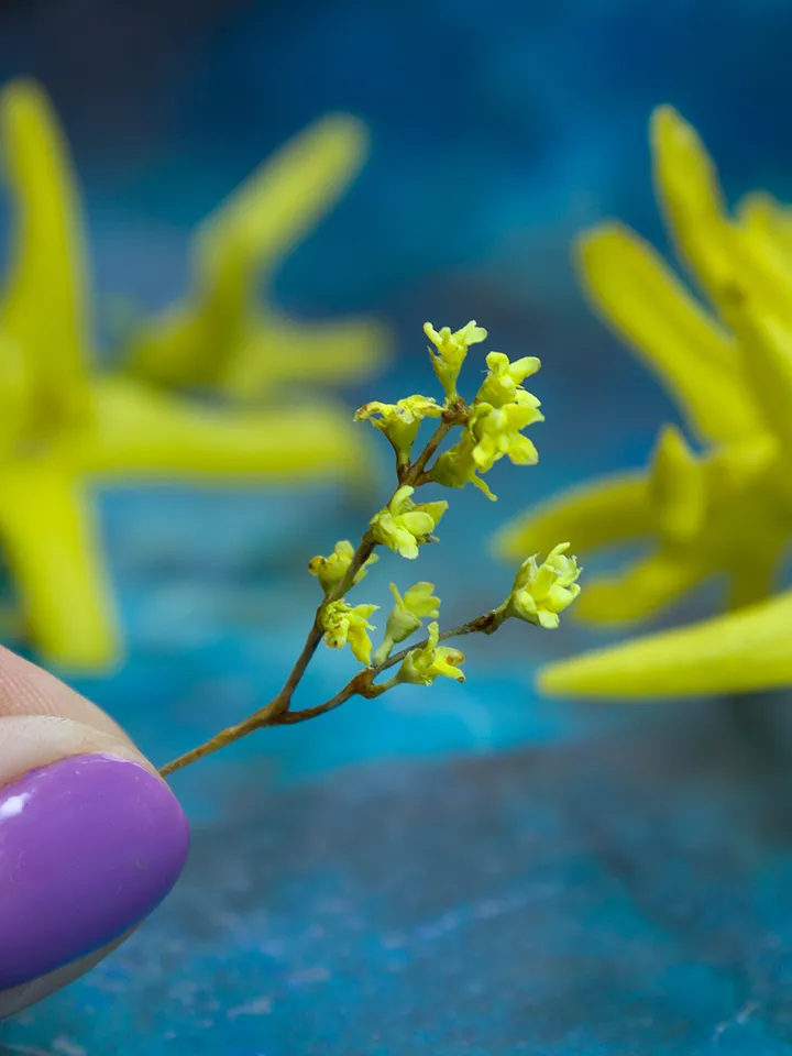 TUTORIAL Miniature forsythia with air dry clay