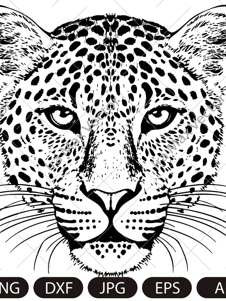 Leopard svg, Leopard Face SVG, Leopard head svg, Leopard clipart, Leopard Silhouette, Leopard portrait