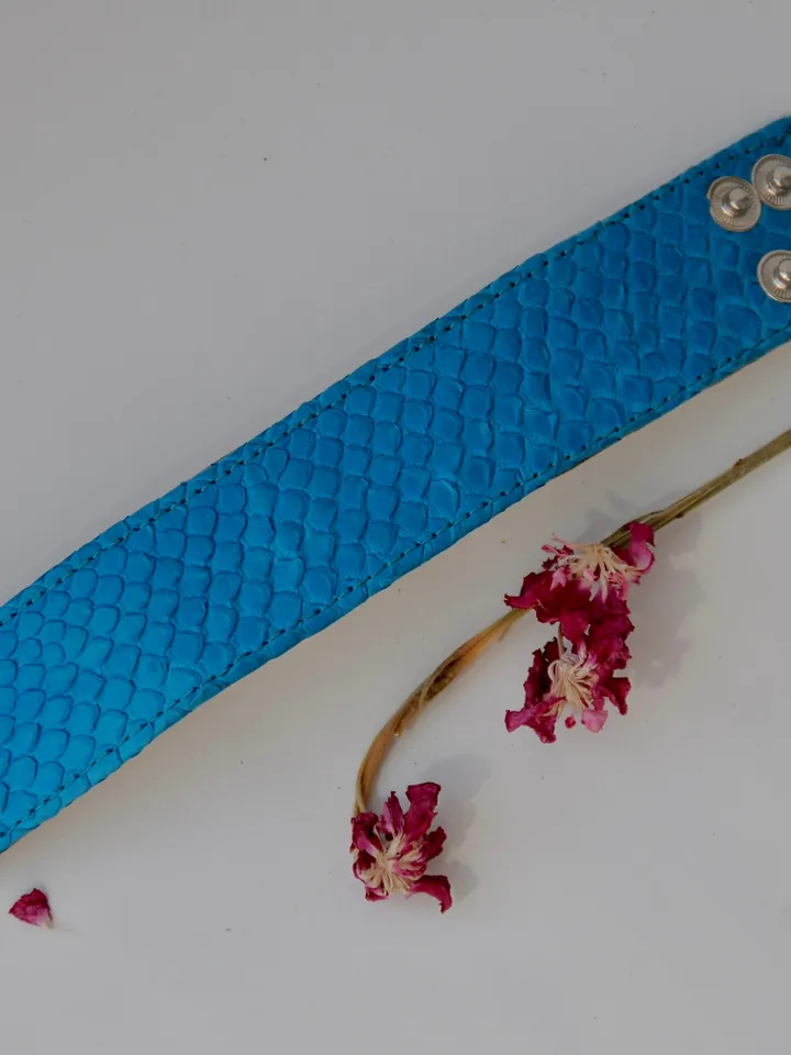 Genuine Python Skin Bracelet Flat Blue Turquise Leather Bracelet | Handmade Leather Bracelet | Leather Bracelet Woman | Leather Bracelet
