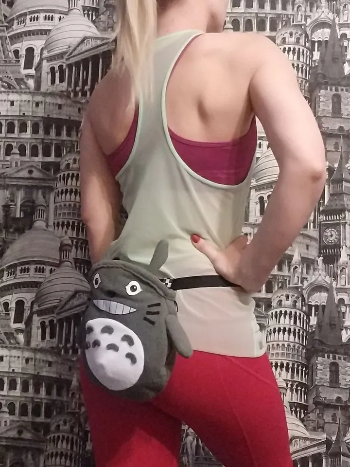Chalk bag for rock climbing Totoro