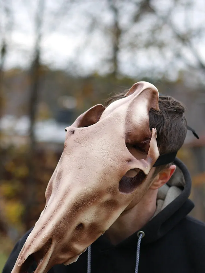 Horse Skull Mask Without Jaw, Horror Mask, Realistic Skull Mask, halloween scary mask, creepy mask, skull costume mask, shamanic mask