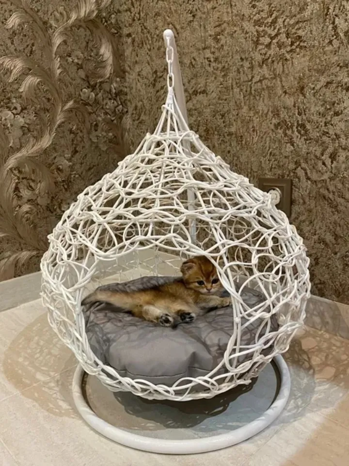 Cat chair Hanging Egg for pet Bed for cat