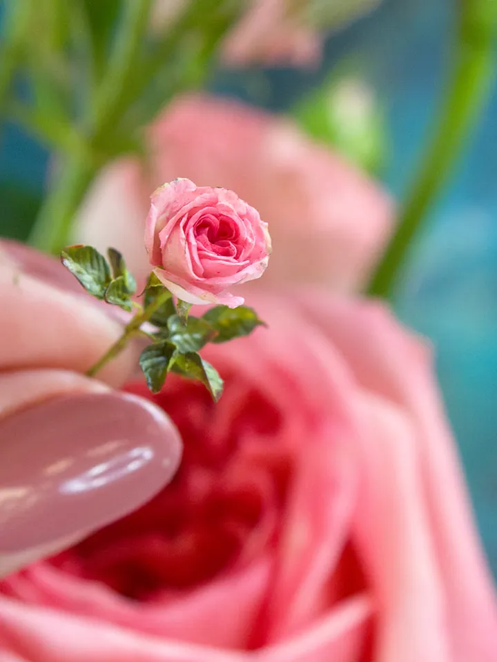 TUTORIAL Miniature Austin rose with cold porcelain or air dry clay